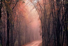 CBA争四大战！今晚山东PK辽宁，北京PK天津，新疆PK北控.