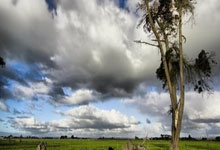 皮克：足球比赛要增加吸引力；喜欢亚马尔、佩德里和库巴西.