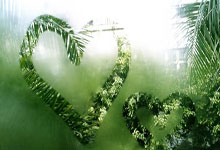 哈尔滨亚冬会2月11日观赛日历 韩梅、宁忠岩有望再摘金人民日报客户端.