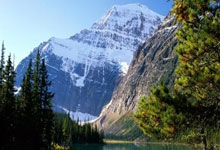 开云体育官网：她，还在续写不老传奇.