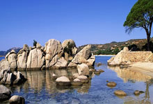 都体：国米看上多特岁的意大利中卫菲利波-马内.